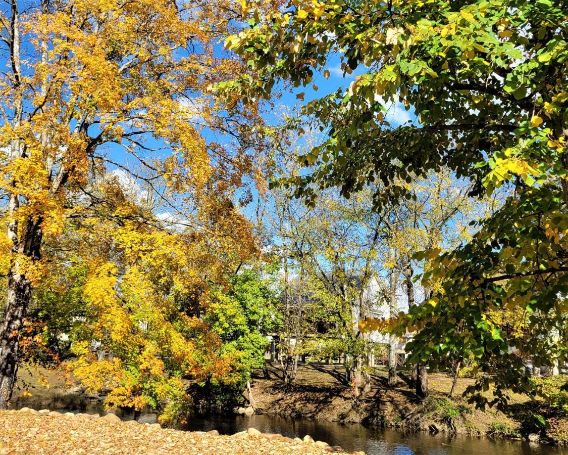 Skinny Dippin'-River Front- Free Tickets-Dog Friendly-Sleeps 6 Pigeon Forge Eksteriør billede